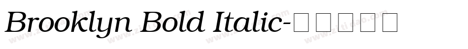 Brooklyn Bold Italic字体转换
